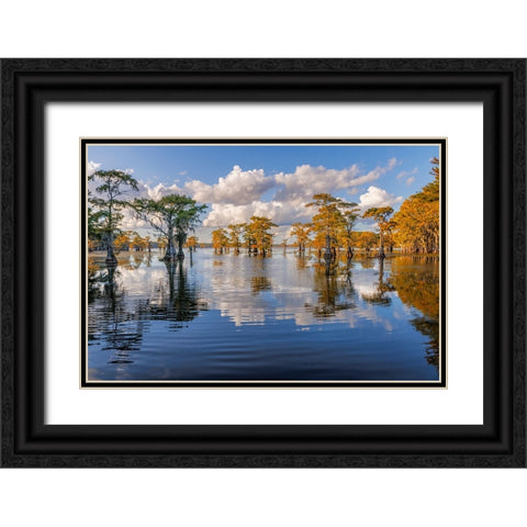 Bald cypress trees in autumn reflected on lake Caddo Lake-Uncertain-Texas Black Ornate Wood Framed Art Print with Double Matting by Jones, Adam