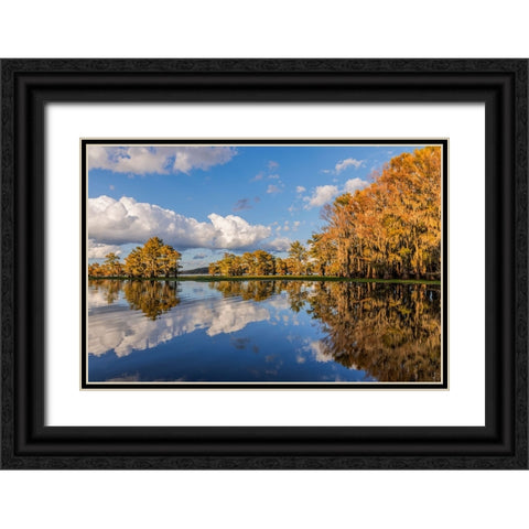 Bald cypress trees in autumn reflected on lake Caddo Lake-Uncertain-Texas Black Ornate Wood Framed Art Print with Double Matting by Jones, Adam