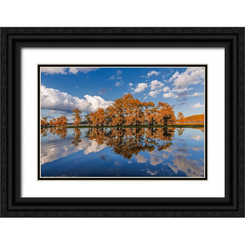 Bald cypress trees in autumn reflected on lake Caddo Lake-Uncertain-Texas Black Ornate Wood Framed Art Print with Double Matting by Jones, Adam