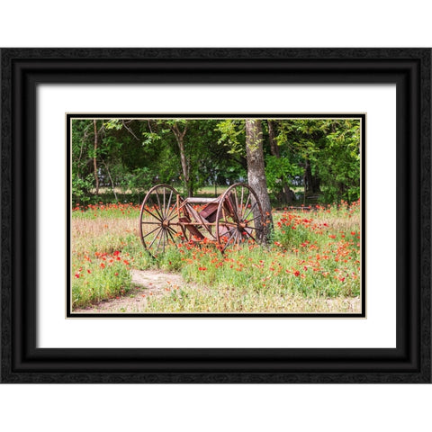 Castroville-Texas-USA-Rusted antique farm equipment in a field of poppies Black Ornate Wood Framed Art Print with Double Matting by Wilson, Emily M.