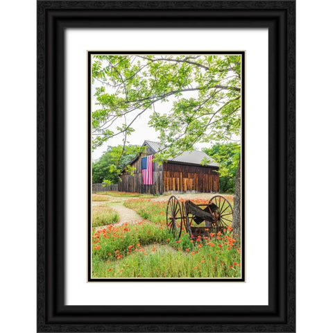 Castroville-Texas-USA-Large American flag on a barn in the Texas Hill Country Black Ornate Wood Framed Art Print with Double Matting by Wilson, Emily M.