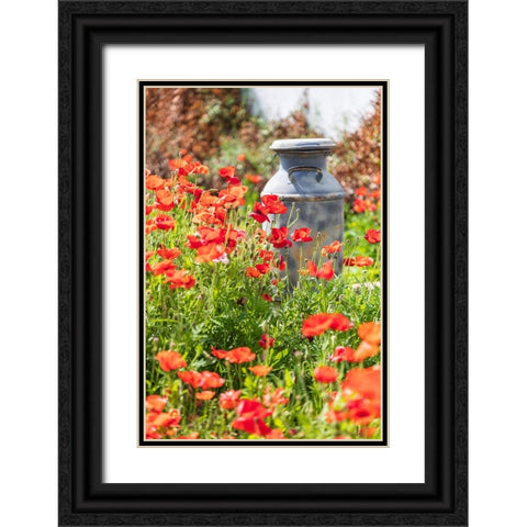 Castroville-Texas-USA-Old milk jug in poppies in the Texas Hill Country Black Ornate Wood Framed Art Print with Double Matting by Wilson, Emily M.