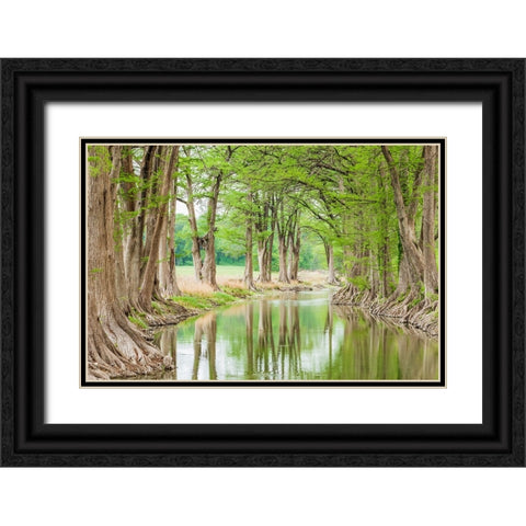 Waring-Texas-USA-Trees along the Guadalupe River in the Texas Hill Country Black Ornate Wood Framed Art Print with Double Matting by Wilson, Emily M.