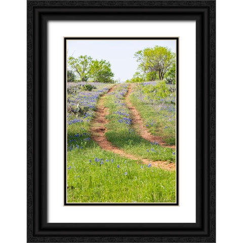 Llano-Texas-USA-Two rut road through bluebonnets in the Texas Hill Country Black Ornate Wood Framed Art Print with Double Matting by Wilson, Emily M.