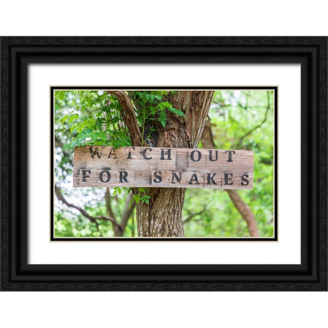 Castroville-Texas-USA-Sign warning snakes in the Texas Hill Country Black Ornate Wood Framed Art Print with Double Matting by Wilson, Emily M.
