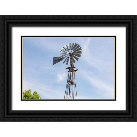 Castroville-Texas-USA-Windmill in the Texas Hill Country Black Ornate Wood Framed Art Print with Double Matting by Wilson, Emily M.