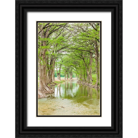 Waring-Texas-USA-Trees along the Guadalupe River in the Texas Hill Country Black Ornate Wood Framed Art Print with Double Matting by Wilson, Emily M.