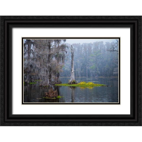 Caddo Lake morning Black Ornate Wood Framed Art Print with Double Matting by Ditto, Larry