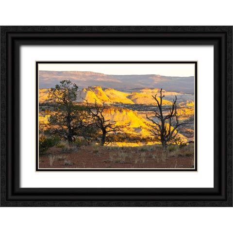 USA- Utah- Grand Staircase Escalante National Monument. Sunrise on eroded cliffs and valley. Black Ornate Wood Framed Art Print with Double Matting by Jaynes Gallery