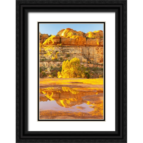 USA- Utah- Grand Staircase Escalante National Monument. Reflections in Escalante River Basin water. Black Ornate Wood Framed Art Print with Double Matting by Jaynes Gallery