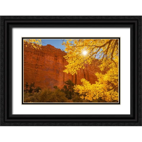 USA- Utah- Grand Staircase Escalante National Monument. Rock formations. and cottonwood trees. Black Ornate Wood Framed Art Print with Double Matting by Jaynes Gallery