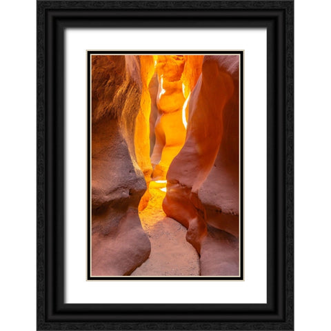 USA- Utah- Grand Staircase Escalante National Monument. Bighorn Canyon trail. Black Ornate Wood Framed Art Print with Double Matting by Jaynes Gallery