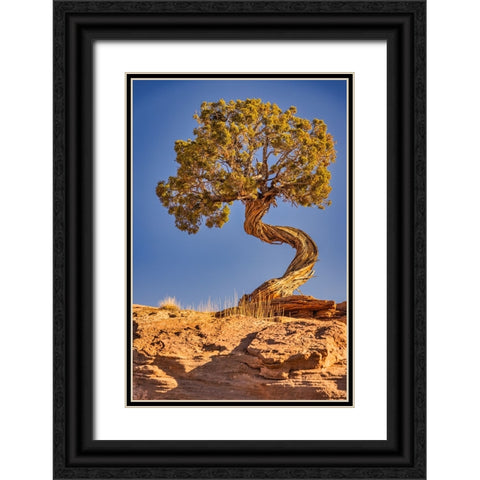Dead Horse Point-Canyonlands National Park-Utah Black Ornate Wood Framed Art Print with Double Matting by Ford, John