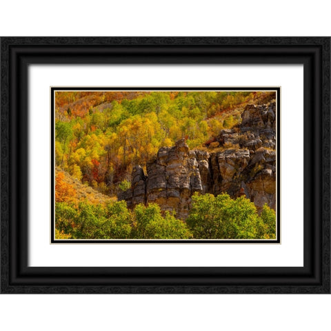 USA-Utah-Highway 89 and canyon walls of Logan pass with fall colors Black Ornate Wood Framed Art Print with Double Matting by Gulin, Sylvia