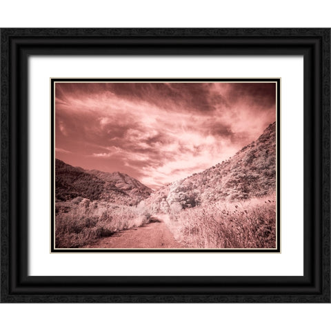 USA-Utah-Infrared of backroad in the Logan Pass area Black Ornate Wood Framed Art Print with Double Matting by Eggers, Terry
