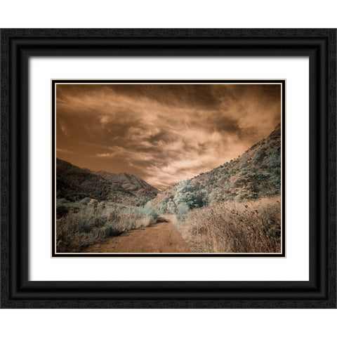 USA-Utah-Infrared of backroad in the Logan Pass area Black Ornate Wood Framed Art Print with Double Matting by Eggers, Terry