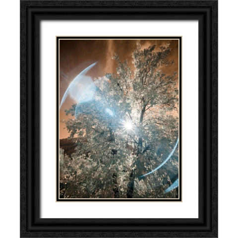 USA-Utah-Infrared of the Logan Pass area Black Ornate Wood Framed Art Print with Double Matting by Eggers, Terry