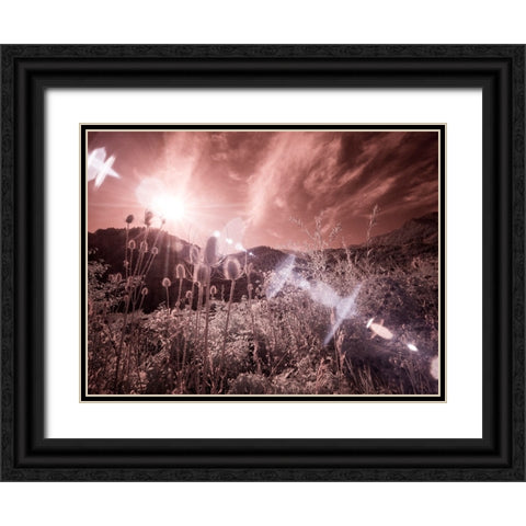USA-Utah-Infrared of the Logan Pass area with sunrays Black Ornate Wood Framed Art Print with Double Matting by Eggers, Terry
