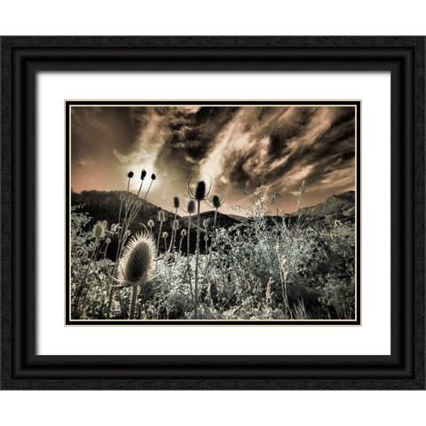 USA-Utah-Infrared of the Logan Pass area Black Ornate Wood Framed Art Print with Double Matting by Eggers, Terry