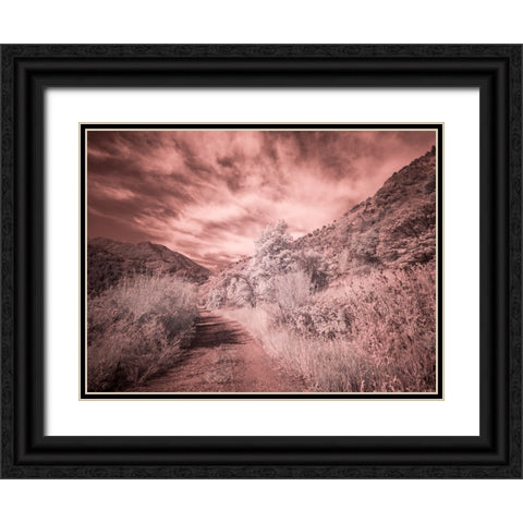 USA-Utah-Infrared of backroad in the Logan Pass area Black Ornate Wood Framed Art Print with Double Matting by Eggers, Terry