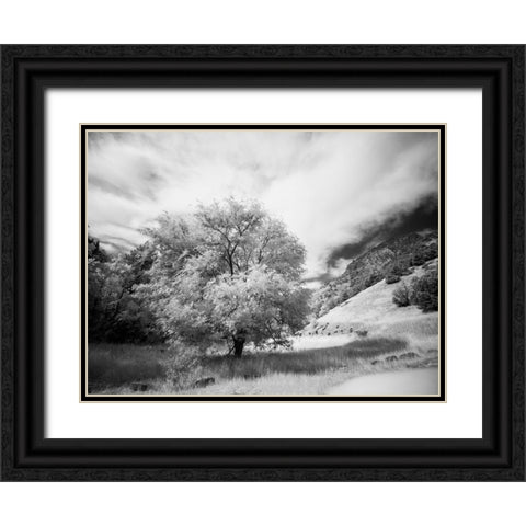 USA-Utah-Infrared of the Logan Pass area and lone tree Black Ornate Wood Framed Art Print with Double Matting by Eggers, Terry