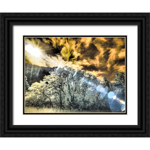 USA-Utah-Infrared of the Logan Pass area and lone tree Black Ornate Wood Framed Art Print with Double Matting by Eggers, Terry