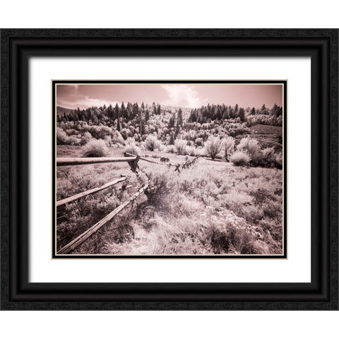 USA-Utah-Infrared of the Logan Pass area with long rail fence Black Ornate Wood Framed Art Print with Double Matting by Eggers, Terry