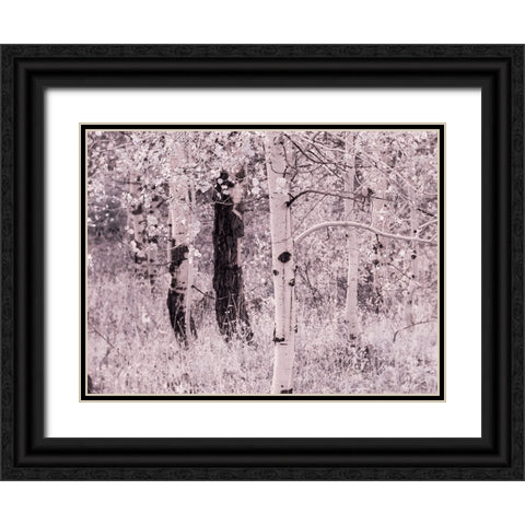 USA-Utah-Aspen Grove in infrared of the Logan Pass area Black Ornate Wood Framed Art Print with Double Matting by Eggers, Terry