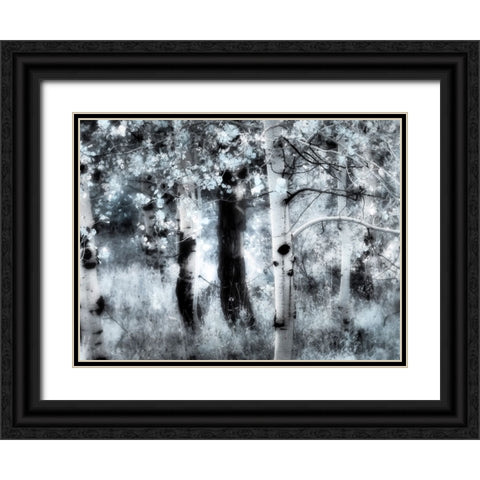 USA-Utah-Aspen Grove in infrared of the Logan Pass area Black Ornate Wood Framed Art Print with Double Matting by Eggers, Terry