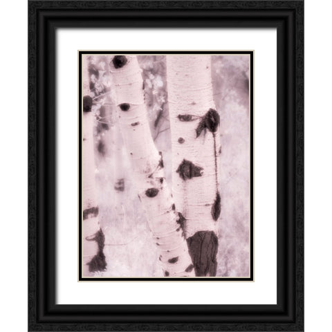 USA-Utah-Aspen Grove in infrared of the Logan Pass area Black Ornate Wood Framed Art Print with Double Matting by Eggers, Terry