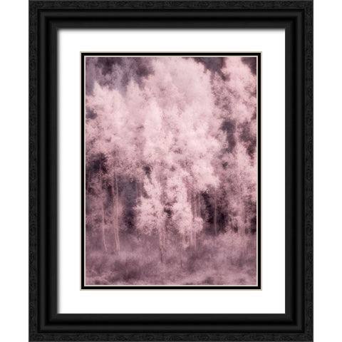 USA-Utah-Aspen Grove in infrared of the Logan Pass area Black Ornate Wood Framed Art Print with Double Matting by Eggers, Terry