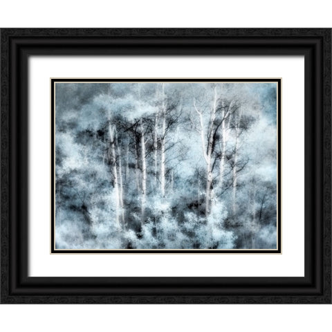USA-Utah-Aspen Grove in infrared of the Logan Pass area Black Ornate Wood Framed Art Print with Double Matting by Eggers, Terry