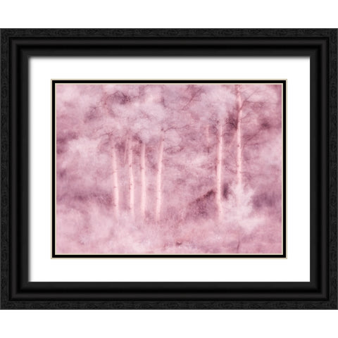 USA-Utah-Aspen Grove in infrared of the Logan Pass area Black Ornate Wood Framed Art Print with Double Matting by Eggers, Terry