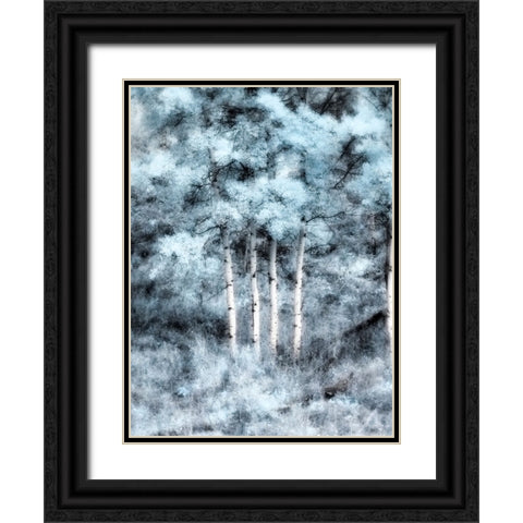 USA-Utah-Aspen Grove in infrared of the Logan Pass area Black Ornate Wood Framed Art Print with Double Matting by Eggers, Terry