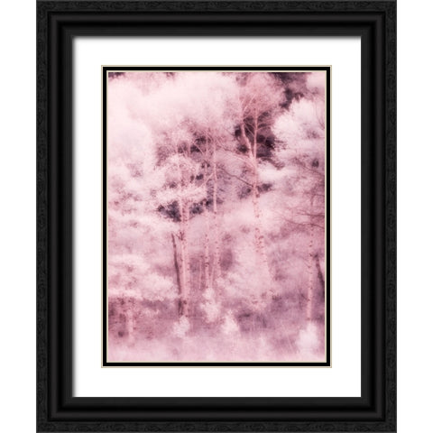 USA-Utah-Aspen Grove in infrared of the Logan Pass area Black Ornate Wood Framed Art Print with Double Matting by Eggers, Terry