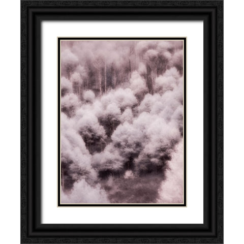 USA-Utah-Aspen Grove in infrared of the Logan Pass area Black Ornate Wood Framed Art Print with Double Matting by Eggers, Terry