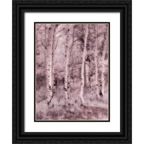 USA-Utah-Aspen Grove in infrared of the Logan Pass area Black Ornate Wood Framed Art Print with Double Matting by Eggers, Terry