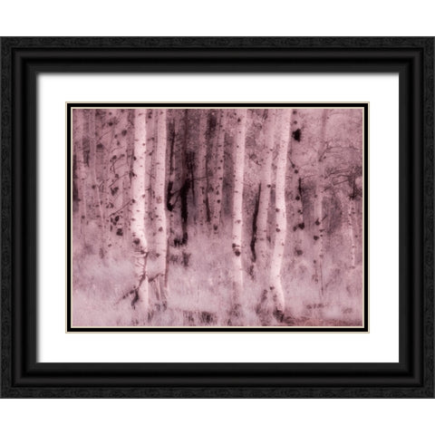 USA-Utah-Aspen Grove in infrared of the Logan Pass area Black Ornate Wood Framed Art Print with Double Matting by Eggers, Terry