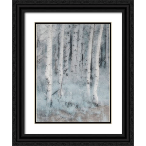USA-Utah-Aspen Grove in infrared of the Logan Pass area Black Ornate Wood Framed Art Print with Double Matting by Eggers, Terry