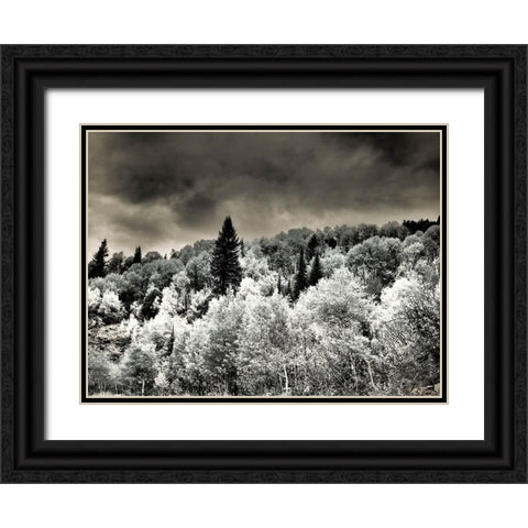USA-Utah-Aspen Grove in infrared of the Logan Pass area Black Ornate Wood Framed Art Print with Double Matting by Eggers, Terry