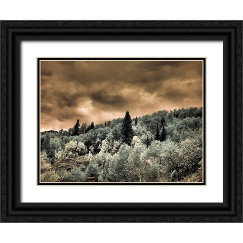 USA-Utah-Aspen Grove in infrared of the Logan Pass area Black Ornate Wood Framed Art Print with Double Matting by Eggers, Terry
