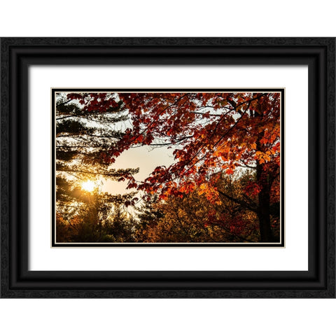USA-Vermont-Morrisville-Jopson Lane Fall foliage Black Ornate Wood Framed Art Print with Double Matting by Jones, Allison