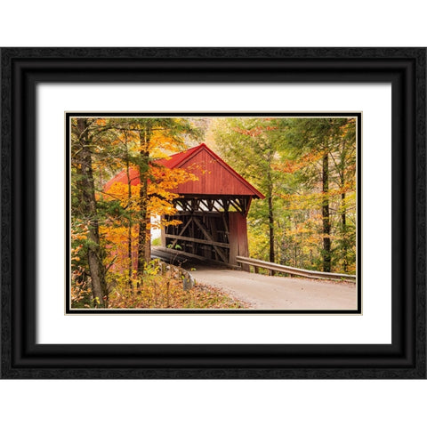 USA-Vermont-Stowe-Sterling Valley Road covered bridge in fall foliage Black Ornate Wood Framed Art Print with Double Matting by Jones, Allison