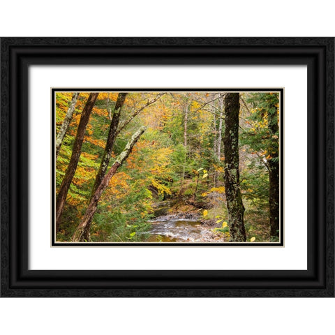USA-Vermont-Stowe-Sterling Valley tributary to Little River in fall foliage Black Ornate Wood Framed Art Print with Double Matting by Jones, Allison