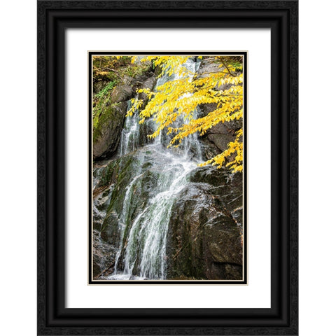USA-Vermont-Fall foliage in Mad River Valley along trail to Warren Falls Black Ornate Wood Framed Art Print with Double Matting by Jones, Allison