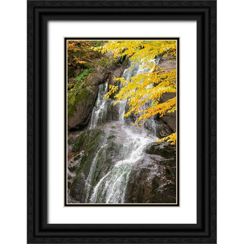 USA-Vermont-Fall foliage in Mad River Valley along trail to Warren Falls Black Ornate Wood Framed Art Print with Double Matting by Jones, Allison