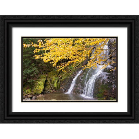 USA-Vermont-Fall foliage in Mad River Valley along trail to Warren Falls Black Ornate Wood Framed Art Print with Double Matting by Jones, Allison