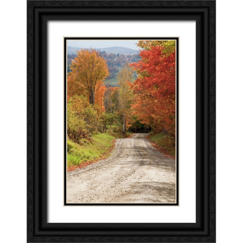 USA-New England-Vermont tree-lined roadway in Autumns Fall colors Black Ornate Wood Framed Art Print with Double Matting by Gulin, Sylvia