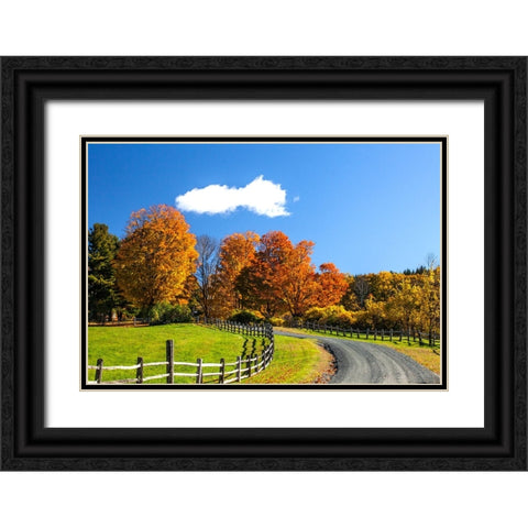 USA-New England-Vermont countryside with curved gravel road fence in Autumn Black Ornate Wood Framed Art Print with Double Matting by Gulin, Sylvia