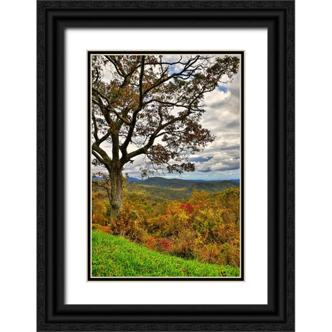 USA-Virginia-Shenandoah National Park-fall color Black Ornate Wood Framed Art Print with Double Matting by Looney, Hollice